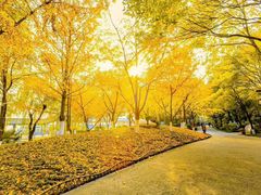 -天目湖山水园
