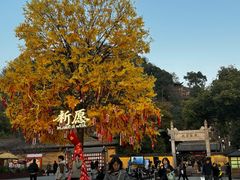 -荣家小吃(紫阳街店)
