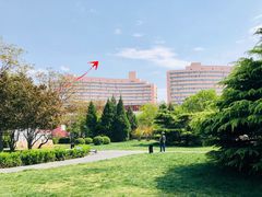 -方庄体育公园