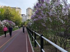 -黛秀湖公园