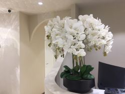 -樱木町·日式头皮管理中心