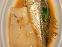 -三利音·玖弄小鲜(浦东嘉里城店)