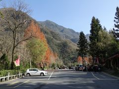 景点-神农架景区