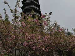 -重庆园博园