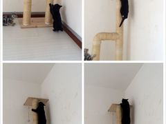 -爱宠屋pet shop·宠物洗澡·宠物美容