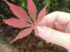 -重庆云阳龙缸景区