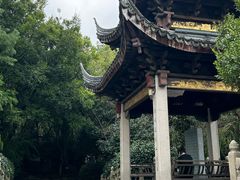 -长广溪湿地公园