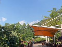 -泉州海丝野生动物世界