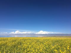 -青海湖国家重点风景名胜区