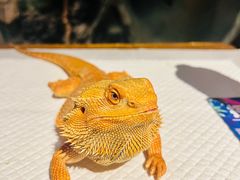 -天津zoonly动物主题公园