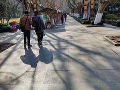 -杭州黄龙洞