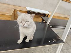 -辛庄国际文化艺术区