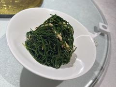-老阿妈蒙古村·蒙古包·草原文化·歌舞表演(老君堂店)