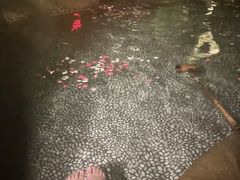 -厦门日月谷温泉渡假村