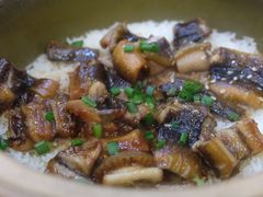 -红星光发煲仔饭(文海店)