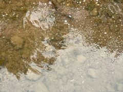 -重庆彩云湖湿地公园