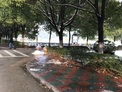 -南京理工大学紫金学院