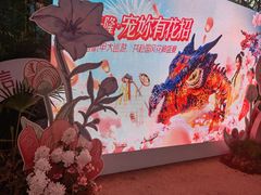 -广州长隆欢乐世界
