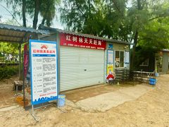 -红树林天天赶海