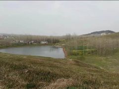 -恋山坝上草原