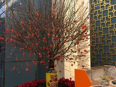 -粤式早茶希朋喜宴