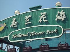 -荷兰花海