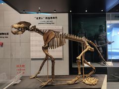 -北京周口店北京人遗址博物馆