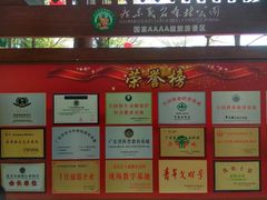 -广东茂名森林公园