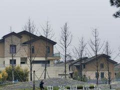 -铁山坪森林公园