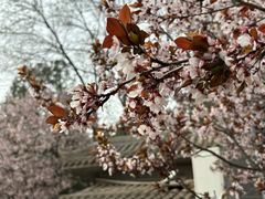 -白塔山公园