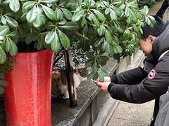 -龙华素斋(龙华路店)