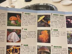 -太婆天府山珍酒楼(亚运村店)