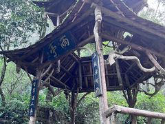 -青城山