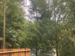 -花水湾第一村温泉大酒店