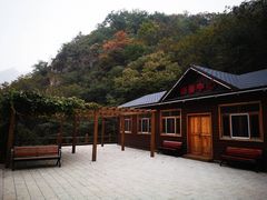 -大岭沟猕猴桃谷风景区