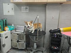 -宠福鑫康馨动物医院·骨科·眼科