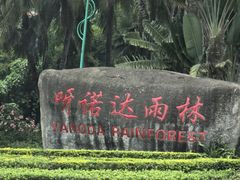 -呀诺达热带雨林