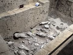 -秦始皇帝陵博物院(兵马俑)