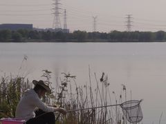 -漕湖湿地公园