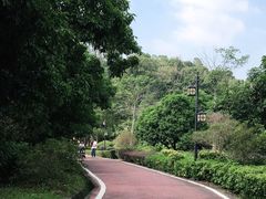 -大屏嶂森林公园