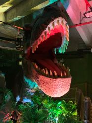 -恐龙探索乐园(磁器口店)