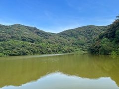 -黄埔油麻山森林公园