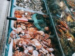 -港畔赶海蒸汽海鲜烧烤自助(仙螺岛店)