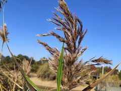 -苏体天云湖运动度假村