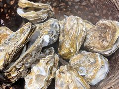 -蚝堡海鲜·威海菜·海肠捞饭·烧烤·亚洲吃蚝公司(幸福门店)