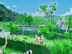 -沈阳森林动物园