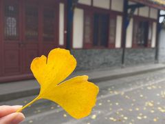 -青羊宫