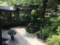 -十八棵（老龙井）御茶园(老龙井店)