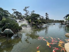 -罗红摄影艺术馆