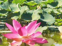 -杜氏旅游度假区